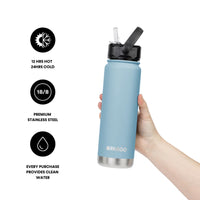 Project Pargo 750ml Insulated Bottle w/ Straw