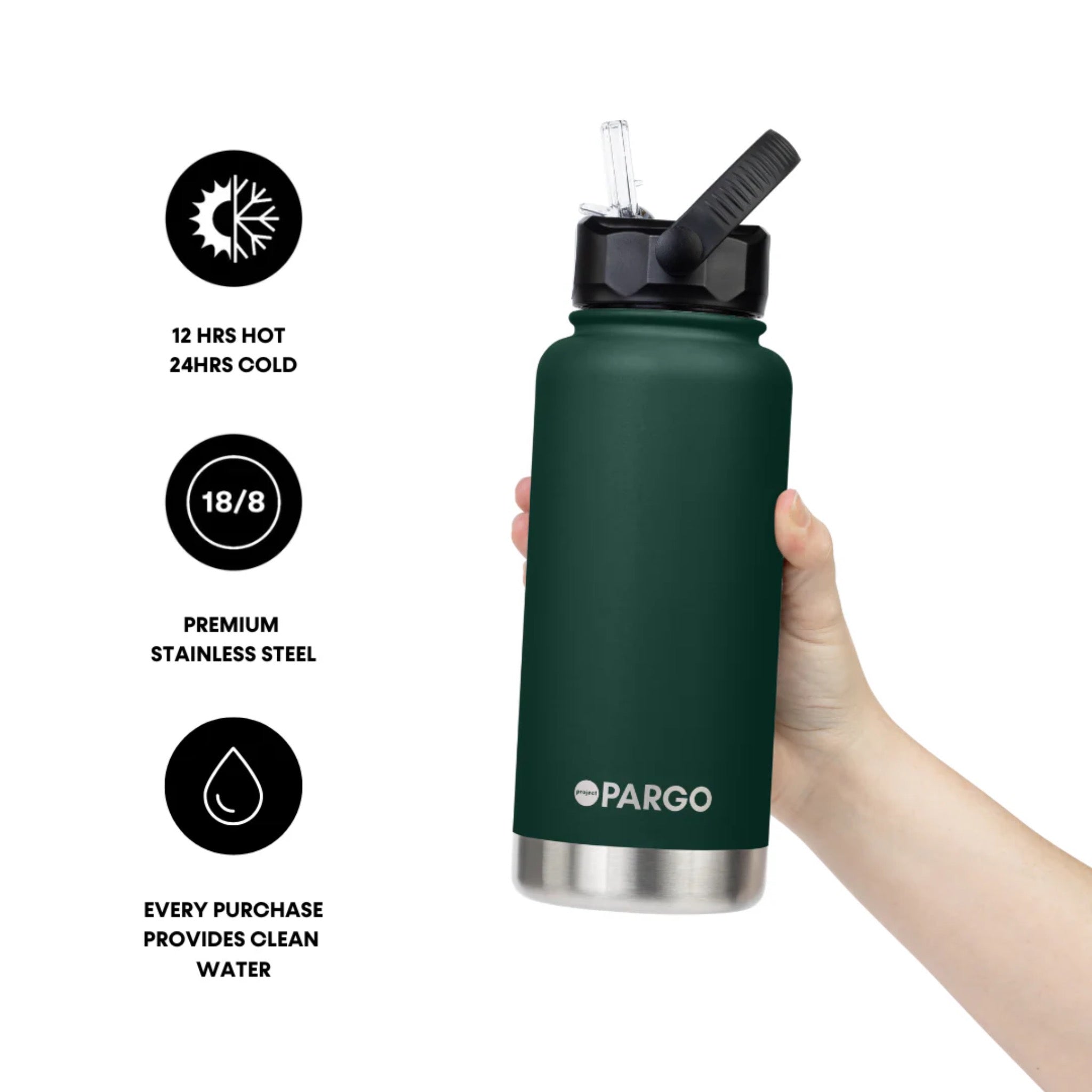 Project Pargo 950ml Insulated Sports Bottle w/ Straw