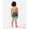 Rip Curl Boys Shred Town Volley Short