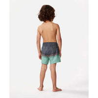 Rip Curl Boys Shred Town Volley Short