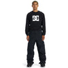 DC Mens Banshee Snow Pant.