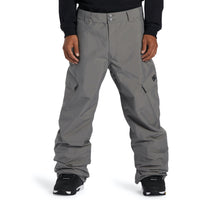 DC Mens Banshee Snow Pant.