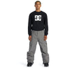 DC Mens Banshee Snow Pant.