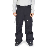 DC Mens Squadron 45K Snow Pant