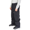 DC Mens Squadron 45K Snow Pant