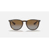 Ray Ban Erika Sunglasses