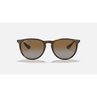 Ray Ban Erika Sunglasses