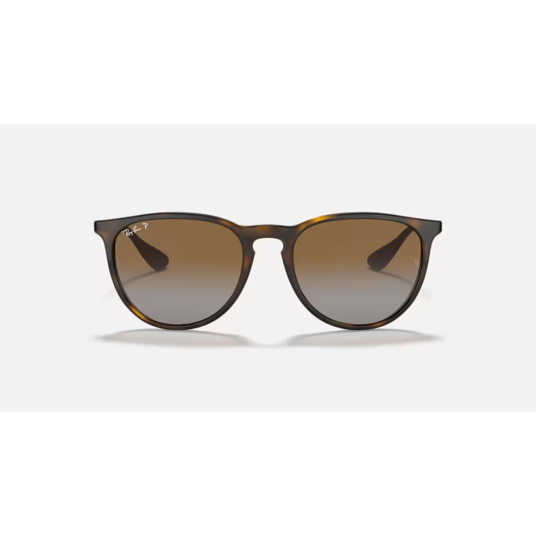 Ray Ban Erika Sunglasses