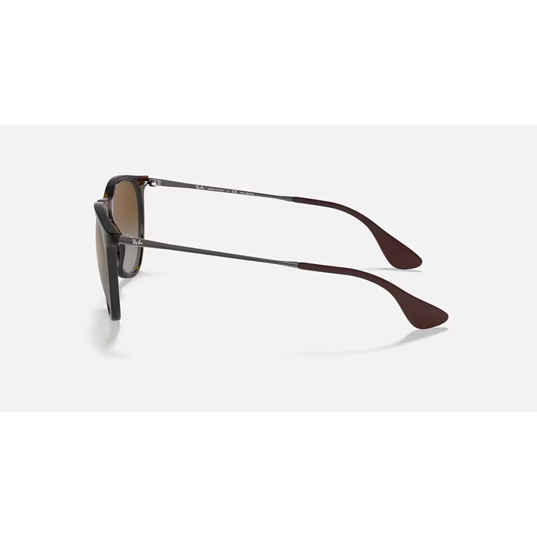 Ray Ban Erika Sunglasses