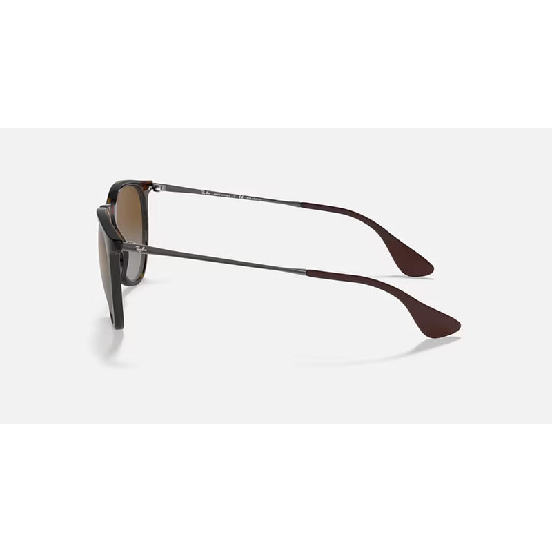 Ray Ban Erika Sunglasses