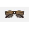Ray Ban Erika Sunglasses
