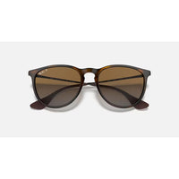 Ray Ban Erika Sunglasses