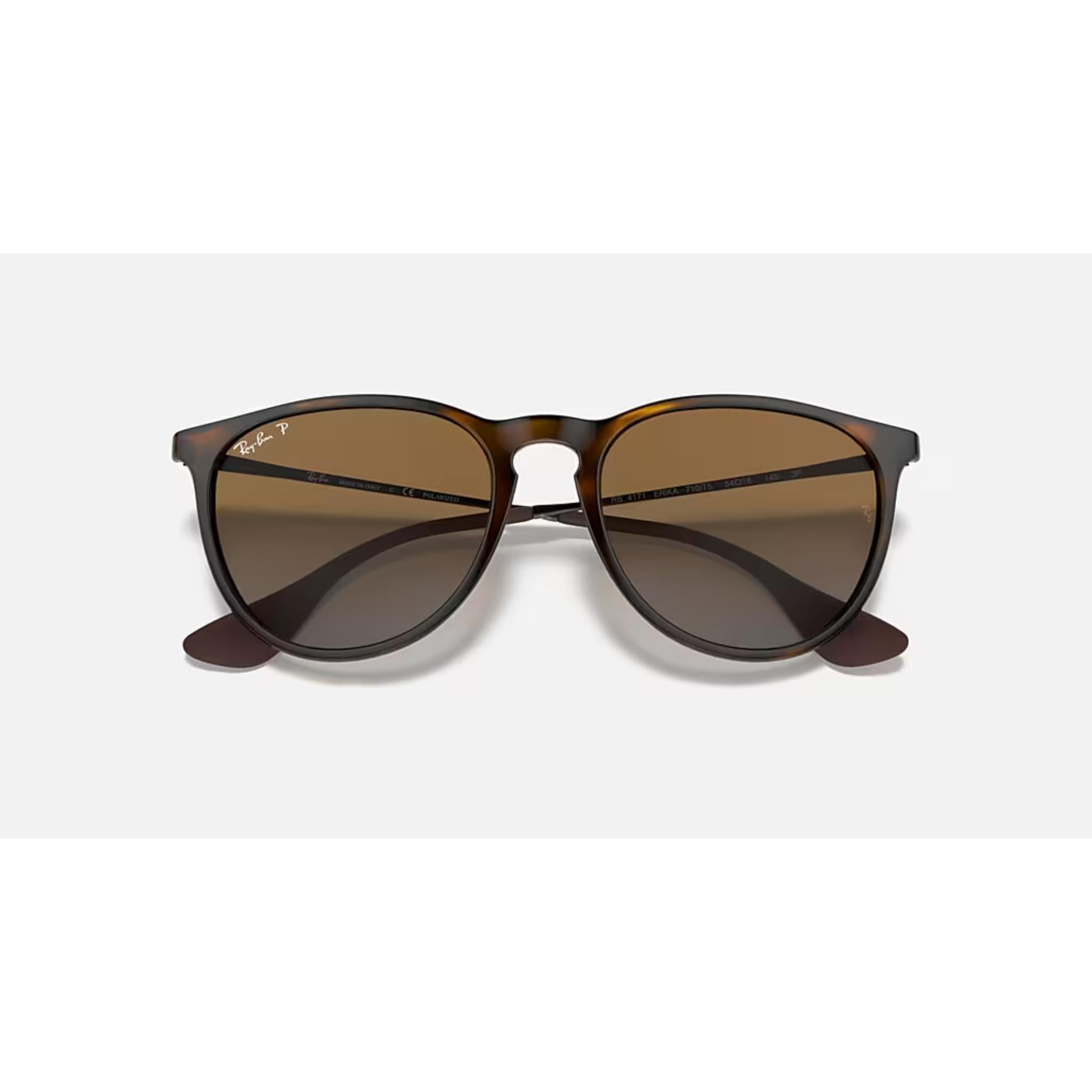 Ray Ban Erika Sunglasses