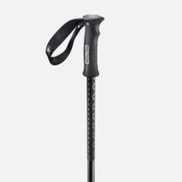 Faction Agent Ski Pole