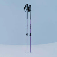 Faction Agent Ski Pole