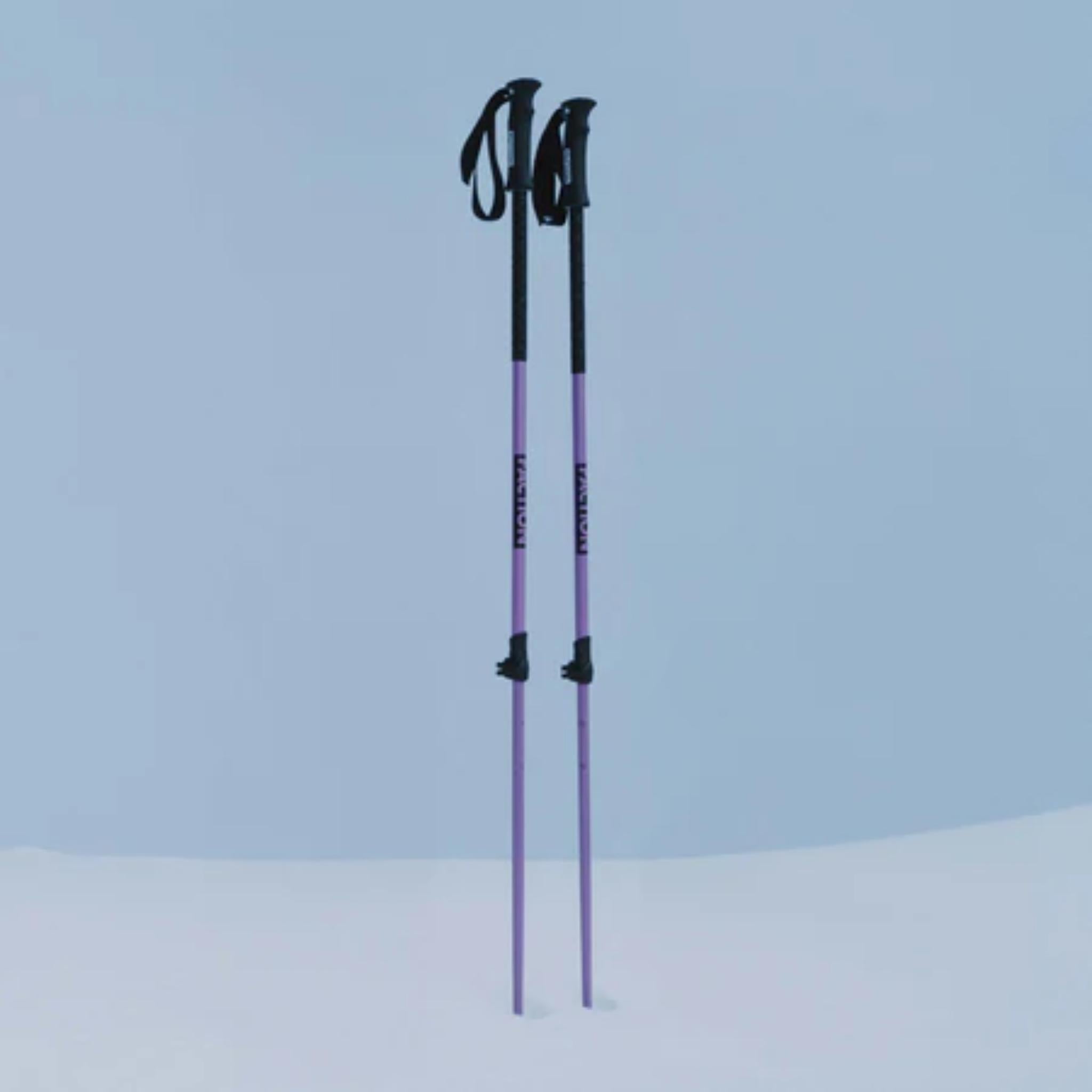 Faction Agent Ski Pole