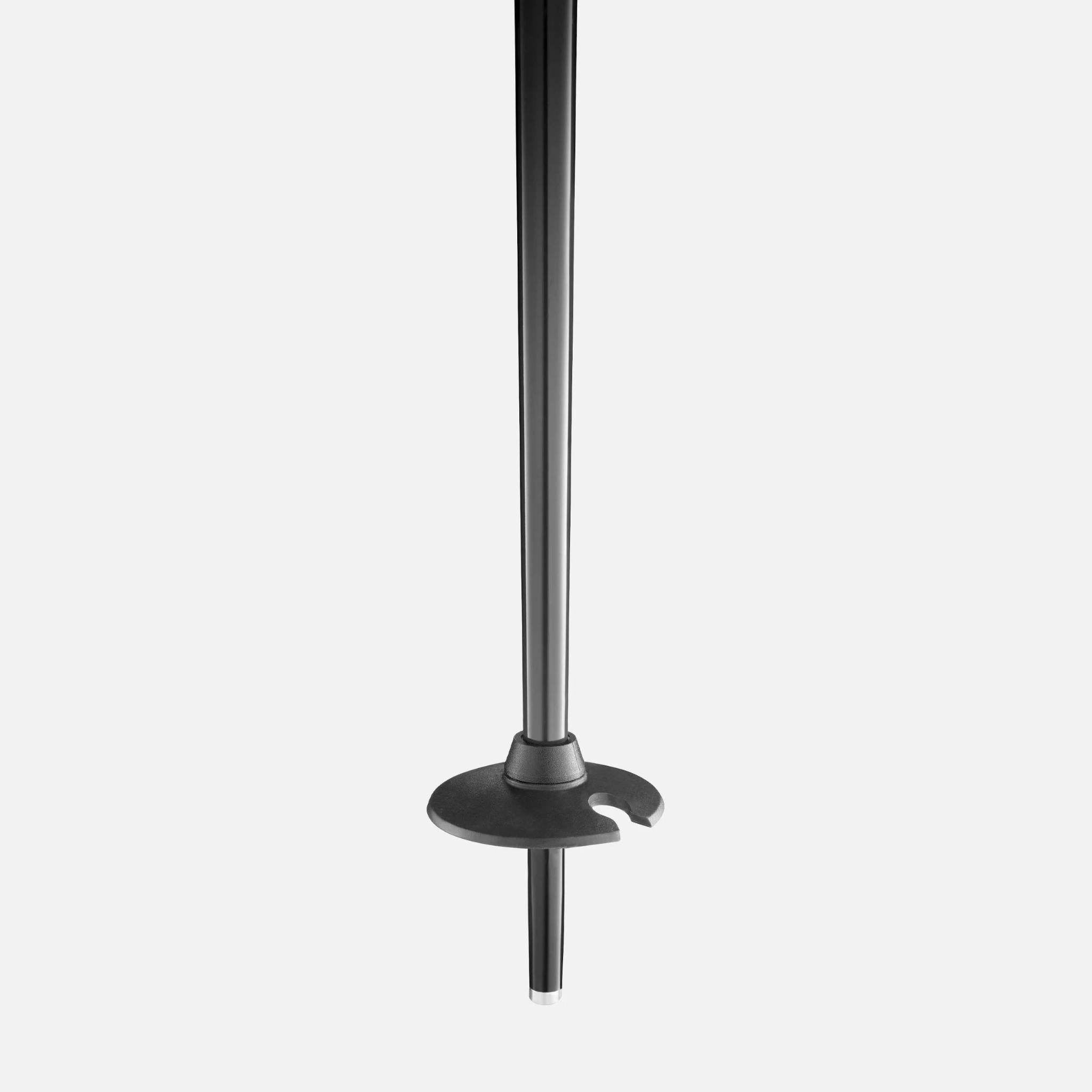 Faction Prodigy Pole Jr Ski Pole