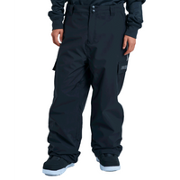 DC Mens Wide Cargo 10K Snow Pant