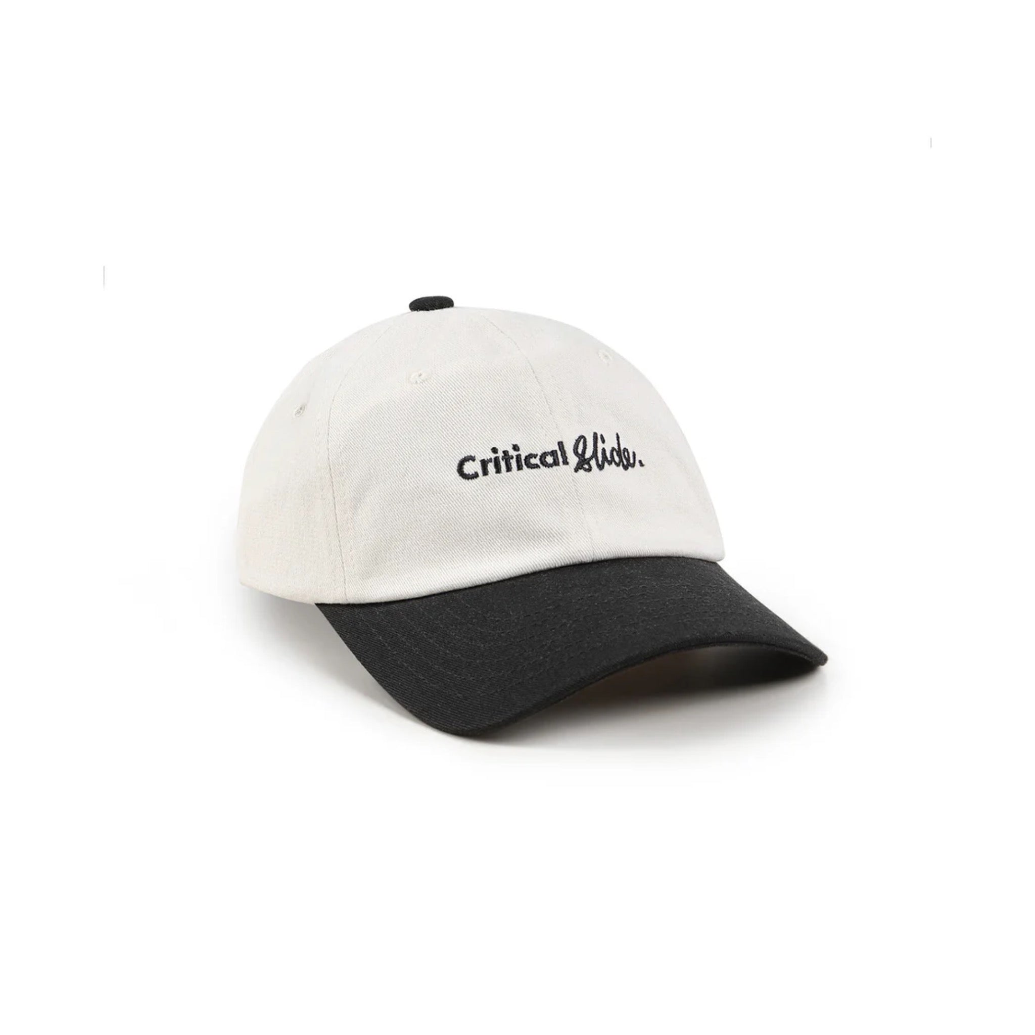 TCSS Institute Dad Cap