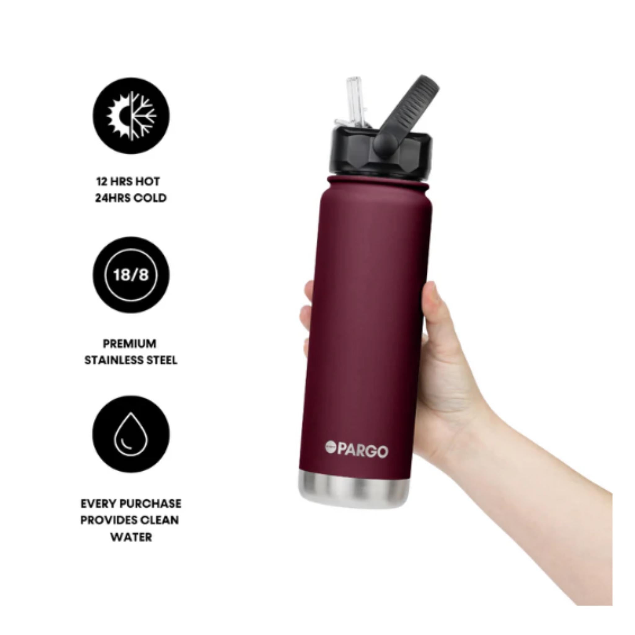 Project Pargo 750ml Insulated Bottle w/ Straw