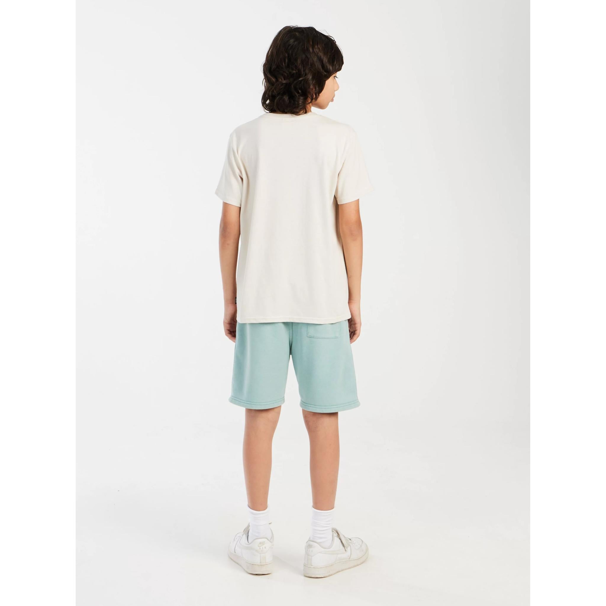 Protest Boys PRT Hunt JR T-shirt