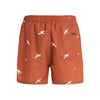 Protest Mens Zinzu Beachshort