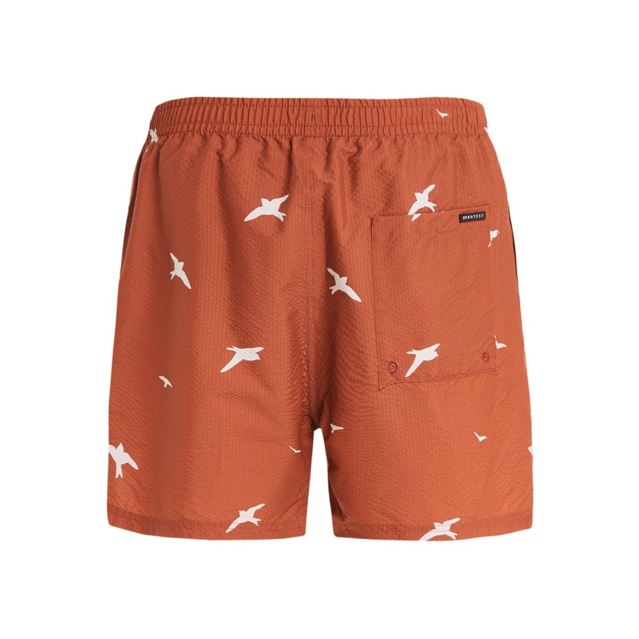 Protest Mens Zinzu Beachshort