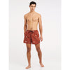 Protest Mens Zinzu Beachshort