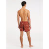 Protest Mens Zinzu Beachshort
