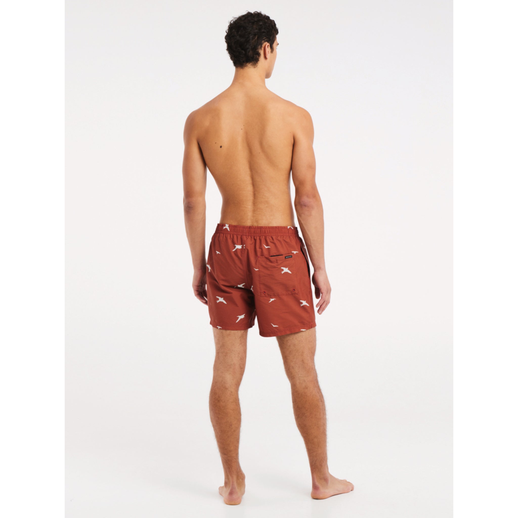 Protest Mens Zinzu Beachshort