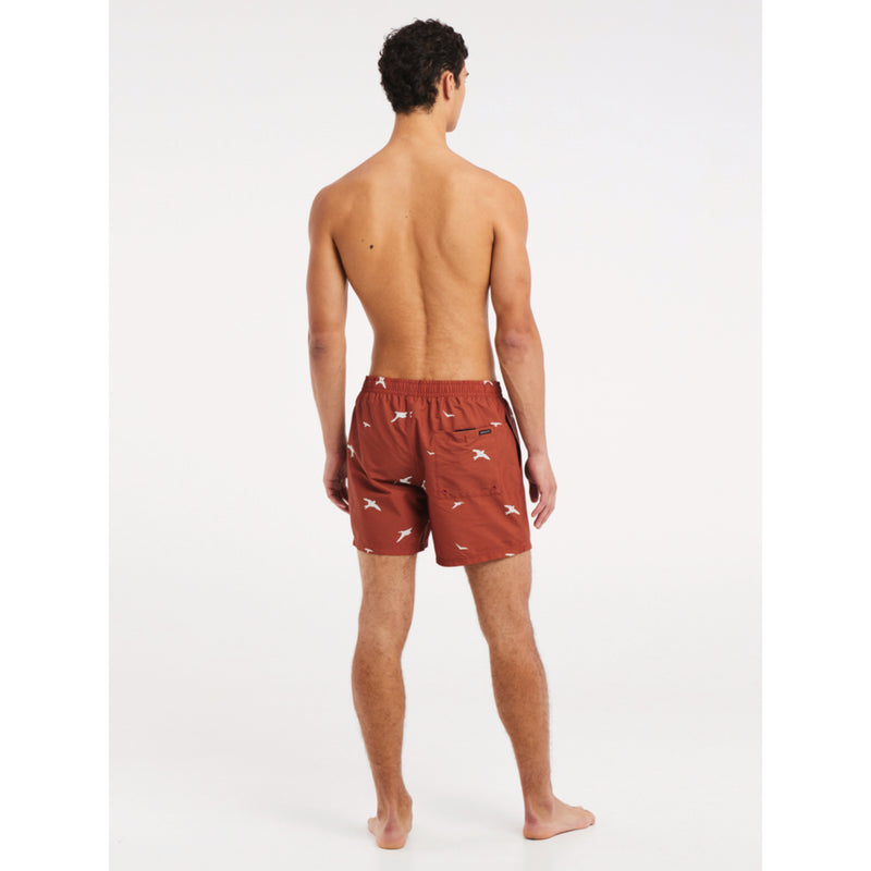 Protest Mens Zinzu Beachshort