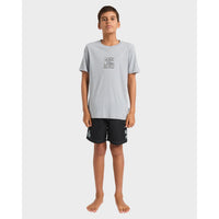Quiksilver Youth Lo Res SS Tee
