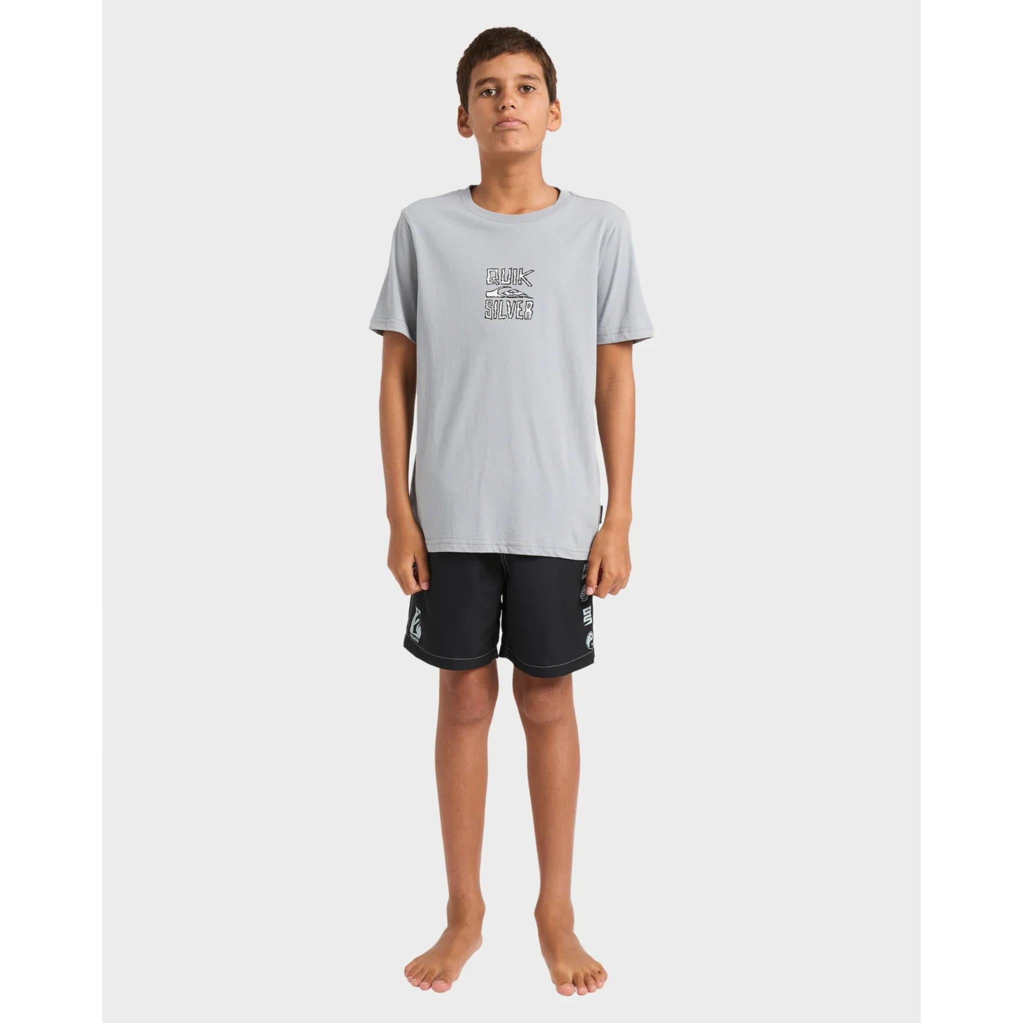 Quiksilver Youth Lo Res SS Tee