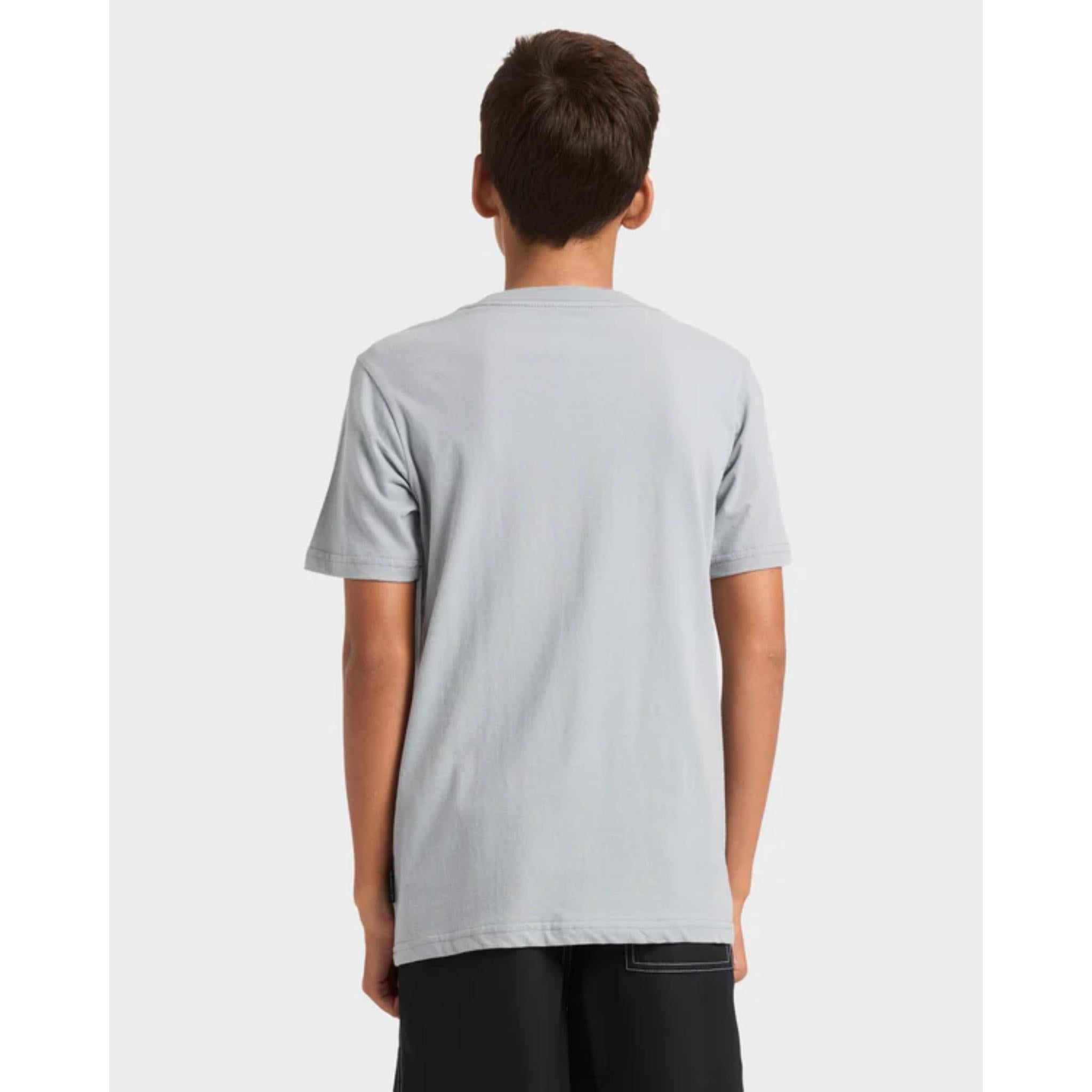 Quiksilver Youth Lo Res SS Tee