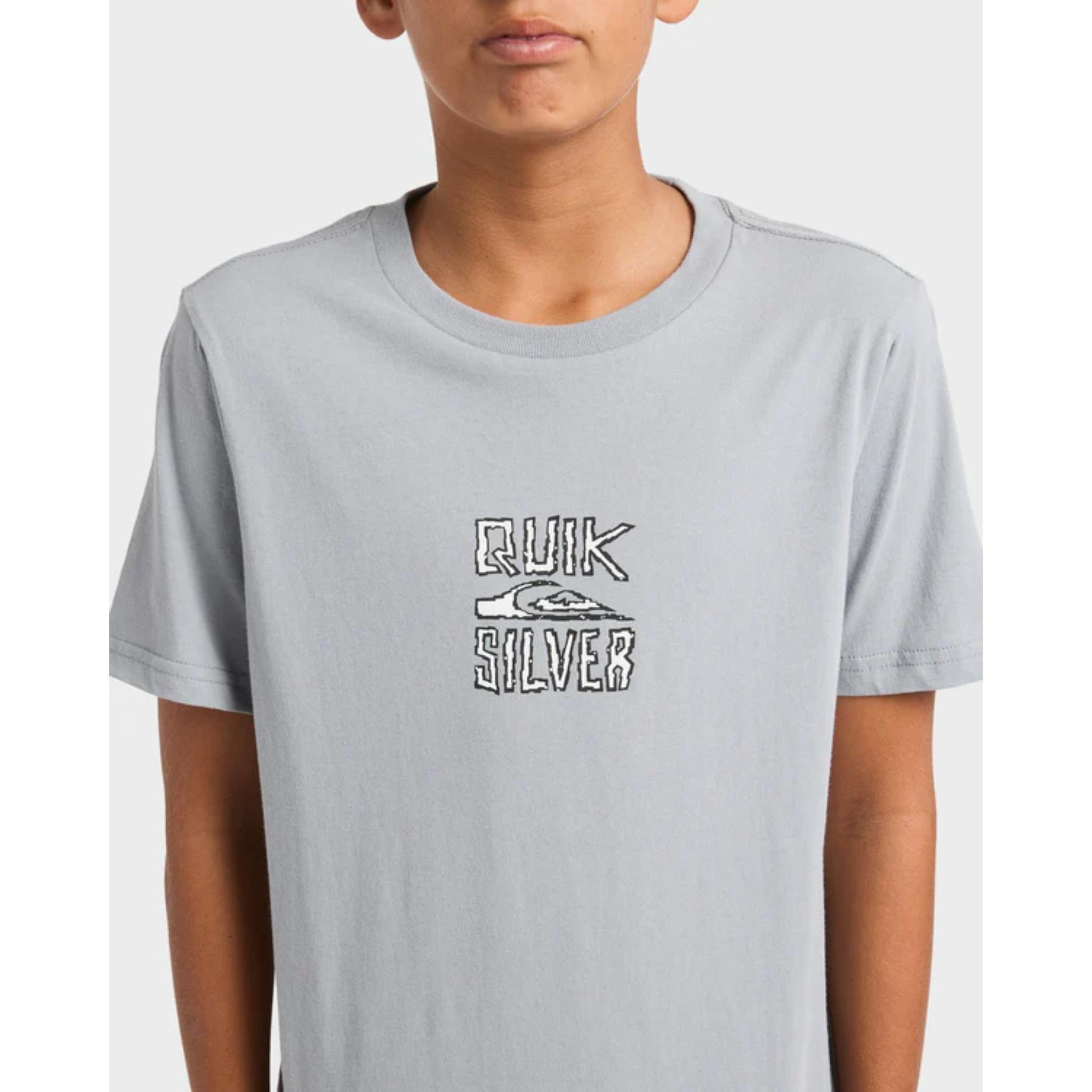 Quiksilver Youth Lo Res SS Tee