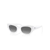 Ray-Ban Zena - White Snow w/Grey Gradient Lens
