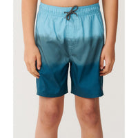 Rip Curl Boys Dip Volley Boardshort