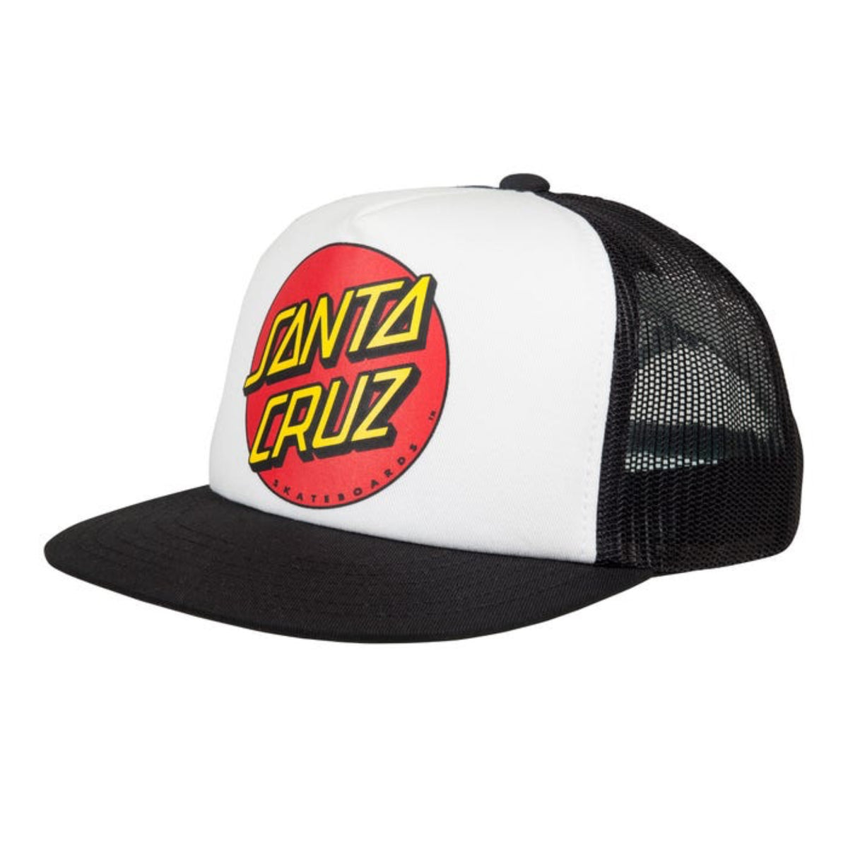 SANTACRUZ_YOUTHCLASSICDOTCAP_1