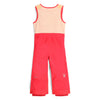 Spyder Toddler Expedition Snow Pants