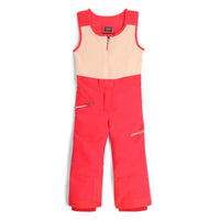 Spyder Toddler Expedition Snow Pants