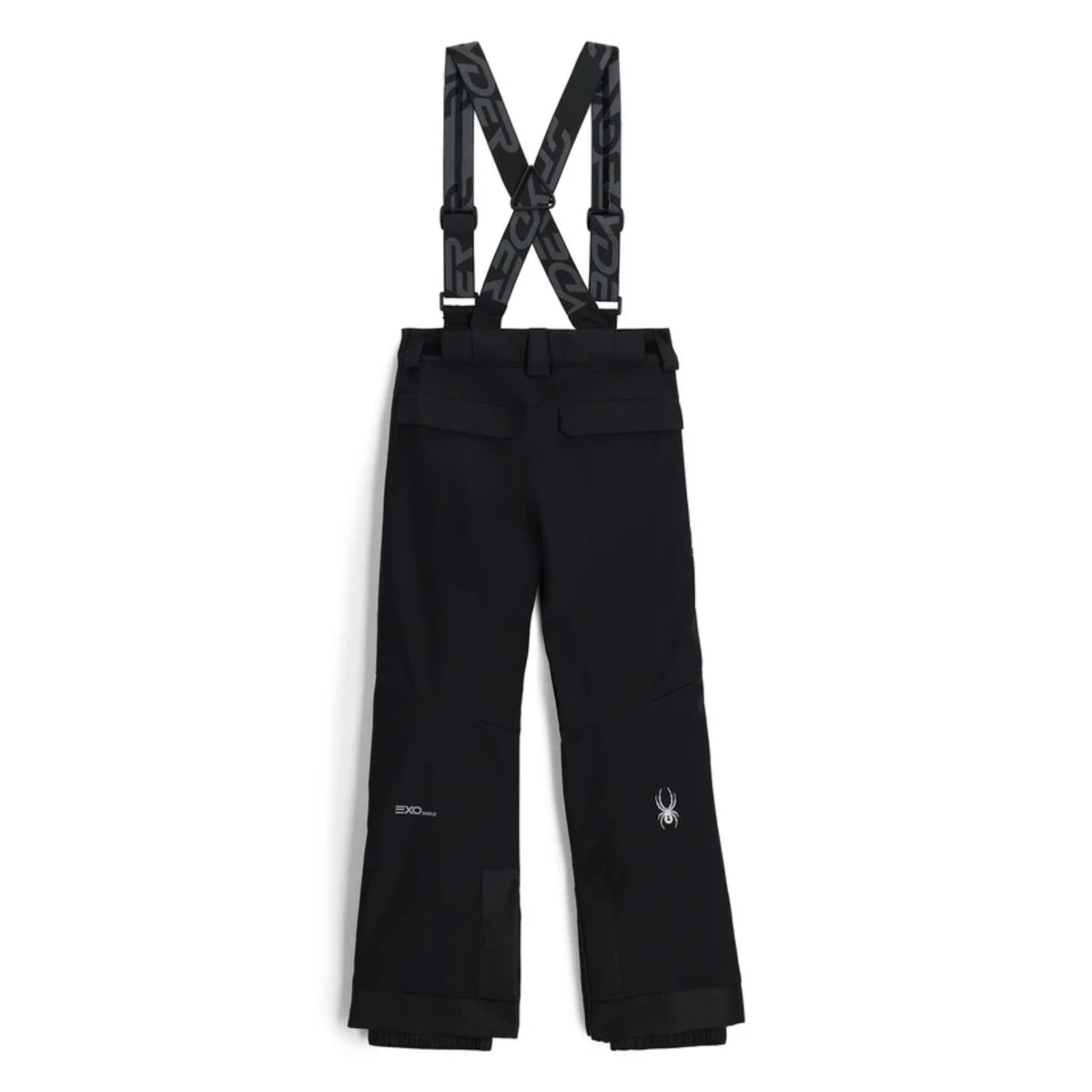 Spyder Boys Propulsion Snow Pant