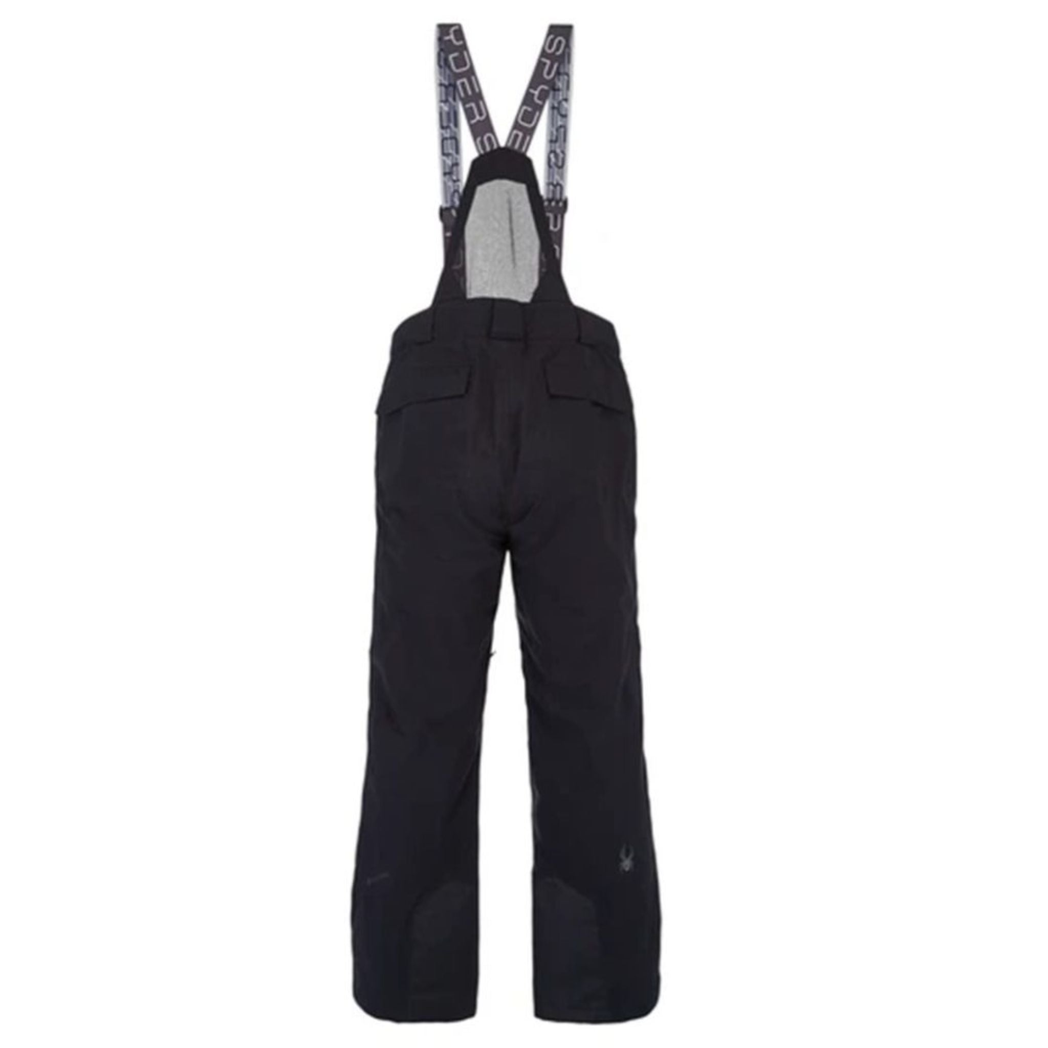 Gore Tex Spyder Sentinel Gtx Pant Spyder Mens Sentinel
