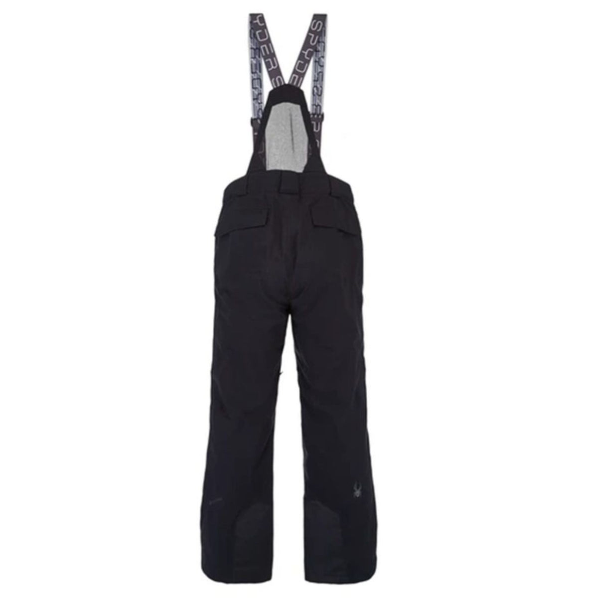 Spyder Mens Sentinel Regular GTX Snow Pant