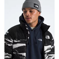 The North Face Mens Evolution Hoodie