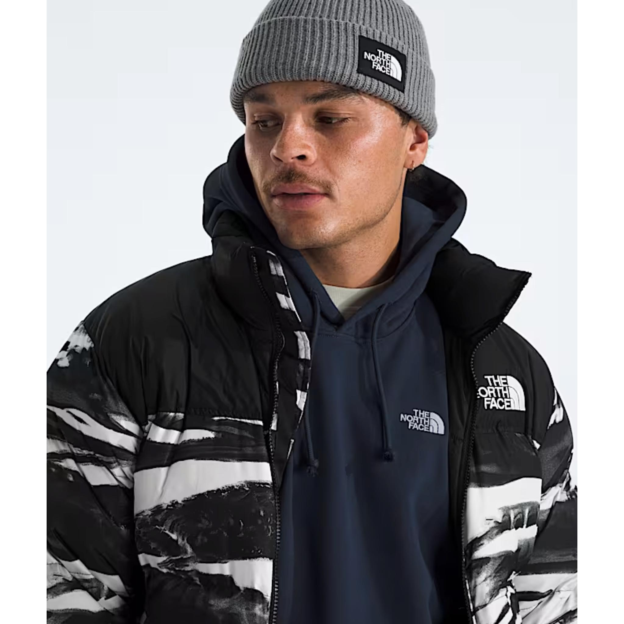 The North Face Mens Evolution Hoodie