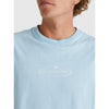 Quiksilver Trinity Oversized Tee