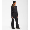 The North Face Womens Freedom Insulated Snow Pant