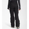 The North Face Womens Freedom Insulated Snow Pant