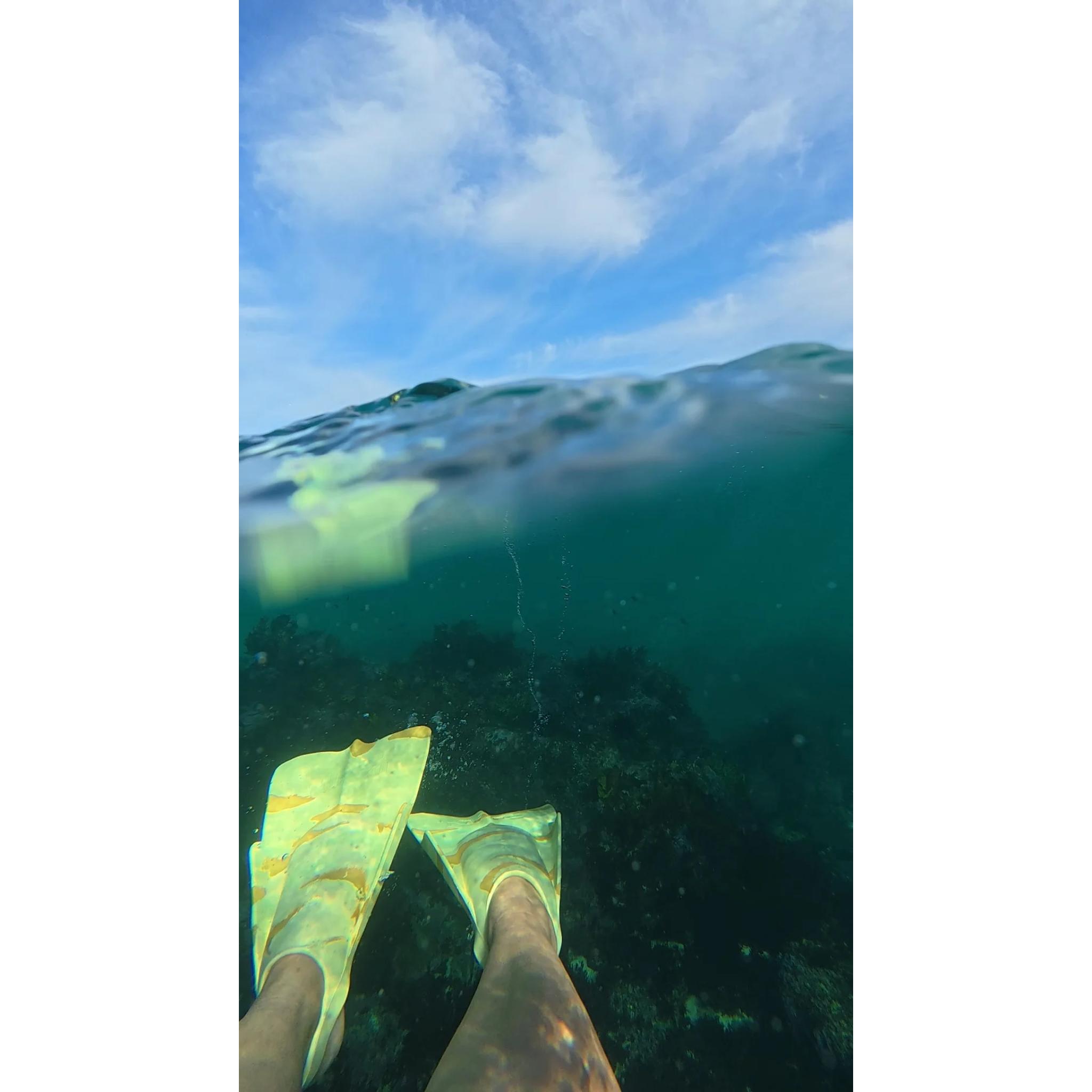 Dafin Zak Noyle Wawamalu Swim Fins