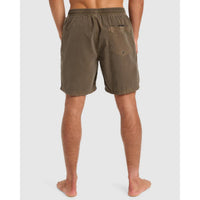 Quiksilver Everyday Surfwash Volley 17 Boardshorts